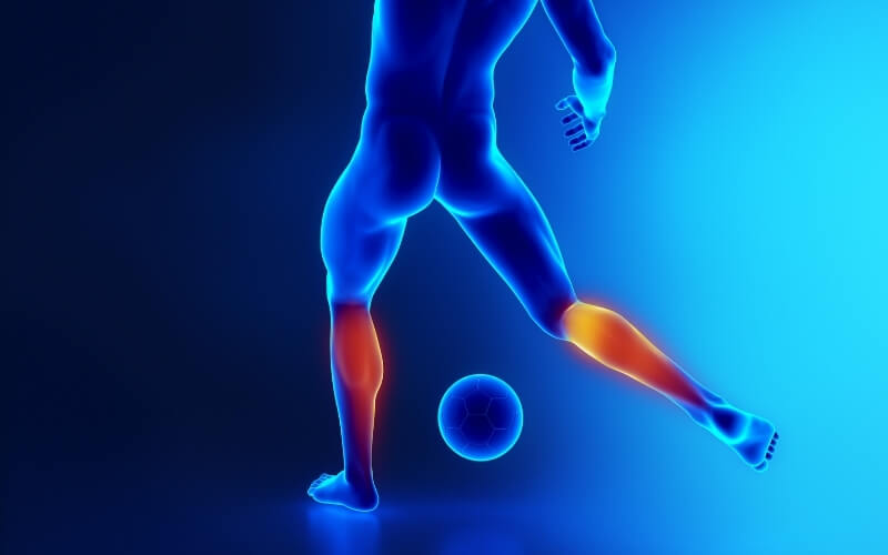 calf muscle strain physiotherapy rehabilitation recovery